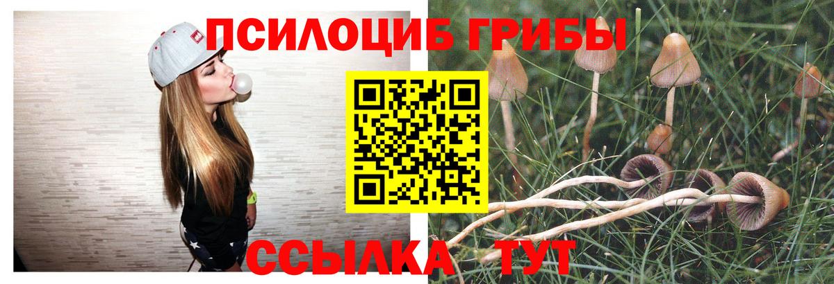 Мытищи  Псилоцибиновые грибы ЛСД  Вход с VPN 
